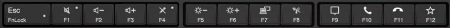 带有额外功能的 <code>F1</code>—<code>F12</code> 功能键